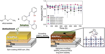 Graphical abstract: Can chelatogenic molecules enhance the stability of air-processed MAPbI3 perovskite solar cells? A case study of salophen