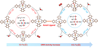 Graphical abstract: Synergistic spin-ligand effects on the oxygen reduction activity of the FePPc electrocatalyst