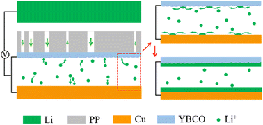 Graphical abstract: Lithophilic conductive oxide-introduced dual-substrate deposition for high current density lithium metal batteries