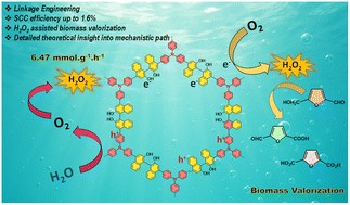 Graphical abstract: Efficient exciton dissociation in isomeric BINOL-based porous polymers for sacrificial agent-free H2O2 photosynthesis and biomass valorization