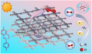 Graphical abstract: Hydrogen-bond-regulated hierarchical porous organic polymers for enhanced photocatalytic H2O2 production