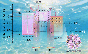 Graphical abstract: Au nanostars/Bi2S3/TiO2 Schottky/S-scheme dual heterojunctions for efficient photocatalytic hydrogen evolution