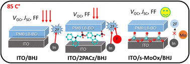 Graphical abstract: Stable and efficient organic solar cells featuring an ultra-thin and transparent solution-deposited MoO3 hole extraction layer