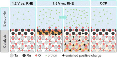 Graphical abstract: Constructing abundant 5d electron buffering interfaces for enhancing acidic water oxidation