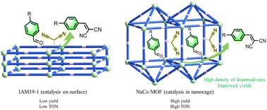 Graphical abstract: Size-selective catalysis enhancement in a new nanocaged MOF through the synergistic Lewis acidic–basic sites
