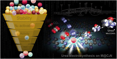 Graphical abstract: Mechanistic insights and predictive screening of M@C2N catalysts for urea electrosynthesis from N2 and CO2