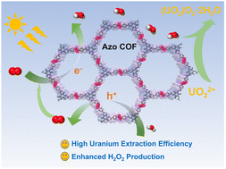 Graphical abstract: An unsaturated bond strategy in covalent organic frameworks for enhanced simultaneous photocatalytic uranium recovery and hydrogen peroxide production