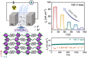 Graphical abstract: A one-dimensional lead-free hybrid perovskite for stable X-ray detection with low detection limits