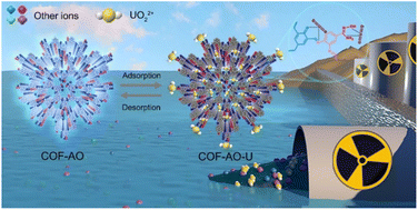 Graphical abstract: Two birds with one stone strategy: selective uranium extraction and detection by a fluorescent covalent organic framework with high-affinity binding sites