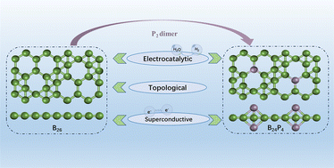 Graphical abstract: A cluster-assembled B26 monolayer and its inverse-sandwiched derivative B24P4: stable 2D boron-based materials with topological properties, superconductivity, and electrocatalytic activity