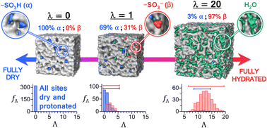 Graphical abstract: Atomistic characterization of hydration-dependent fuel cell ionomer nanostructure: validation by vibrational spectroscopy