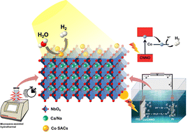Graphical abstract: Single-atom cobalt catalysts engineered on tunable CNNO nanosheets for hydrogen generation
