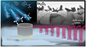 Graphical abstract: Humidity-independent acetone gas sensors with ppbv-level sensitivity and high selectivity, using an In2O3 microporous nanoneedle array