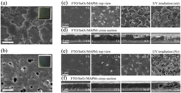 Graphical abstract: A customized fullerene based metal oxide electron transport layer surface activity inhibitor to enhance the operational stability of perovskite solar cells