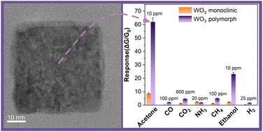Graphical abstract: Formation and exploration of polymorphism in WO3 nanostructures for improved catalytic and chemical sensing performance