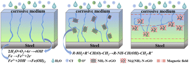Graphical abstract: Corrosion resistance of hydrangea-like nano-Ni/amino N-doped rGO epoxy composite coatings constructed via magnetic field-oriented alignment