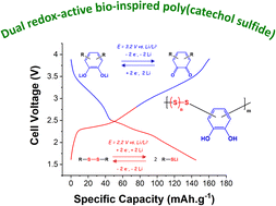 Graphical abstract: Bioinspired poly(catechol sulfide) as organic cathode materials for lithium metal batteries
