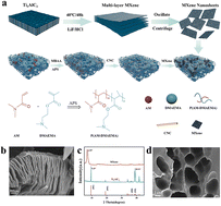 Graphical abstract: High toughness and low modulus MXene organogel for wearable strain sensors
