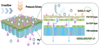Graphical abstract: Heterogeneous charge membranes with a sub-10-nanometer polyamide/Zn-TCPP dual-layer for lithium extraction