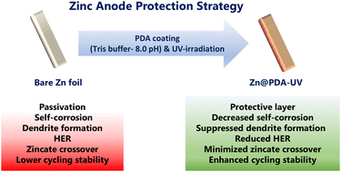 Graphical abstract: UV-modified polydopamine zincophilic protective layer for durable and alkaline-stable zinc anodes in zinc–air batteries