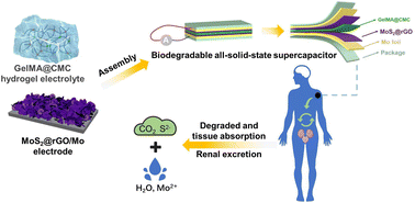 Graphical abstract: A biodegradable and flexible solid-state supercapacitor based on a natural polymer dual network hydrogel electrolyte