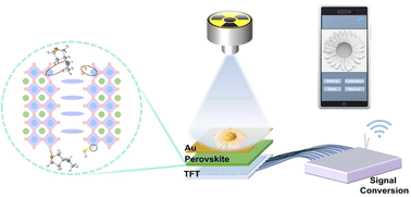 Graphical abstract: Dual-functional defect passivation in Dion–Jacobson perovskite for low-dose X-ray detection and imaging