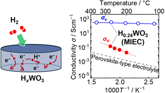 Graphical abstract: High proton conductivity of HxWO3 at intermediate temperatures: unlocking its application as a mixed ionic–electronic conductor