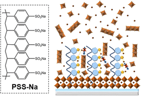 Graphical abstract: Polyanionic surfactant modulates the substrate surface energy to achieve crystallization control for efficient perovskite solar cells