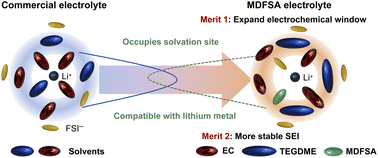 Graphical abstract: Localized asymmetric dipole electrolyte engineering for high-performance lithium-metal batteries