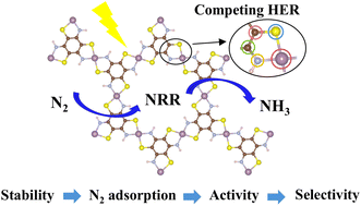 Graphical abstract: Theoretical screening of bis(iminothiolato)metal monolayers as single-atom electrocatalysts for nitrogen reduction