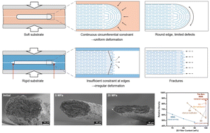 Graphical abstract: Restrained reshaping for ultra-compact, aligned, highly thermally conductive boron nitride nanosheet all-ceramic fibers