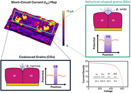 Graphical abstract: Morphological insights into Se-driven charge transport and enhanced performance in Sb2(S,Se)3 solar cells