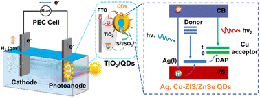 Graphical abstract: Exploiting the synergistic effect of Ag and Cu doping in eco-friendly quantum dots for boosted photoelectrochemical performance