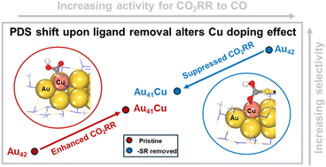 Graphical abstract: Atomically precise Au42 and Cu-doped Au42 nanorods for CO2 reduction: the critical role of ligand removal