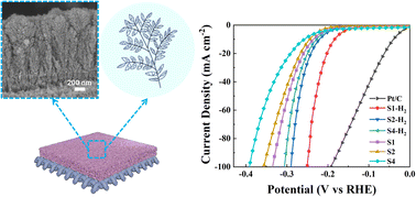 Graphical abstract: Lowering the sulfur density at the margins to trigger molybdenum disulfide nanoarray growth into branches to boost their hydrogen evolution reaction activity