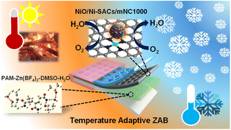 Graphical abstract: Synergistically coupled nickel oxide nanoparticles with single-atom nickel catalysts for high-performance wide-temperature adaptable quasi-solid-state zinc–air batteries