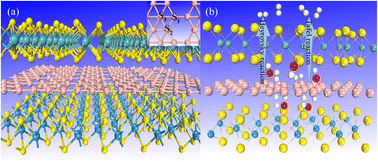 Graphical abstract: Defect engineering of MoS2/borophene/WS2 sandwich heterostructures enhanced the HER catalytic activity and improved water splitting efficiency
