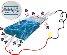 Graphical abstract: Self-powered flexible Janus-like metal–organic framework membrane for sustainable moisture-enabled electrokinetic energy harvesting