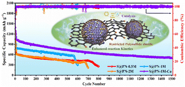 Graphical abstract: Graphitic carbon cage structure encapsulating cobalt nanoparticles in nitrogen-doped biomass-derived carbon materials enables high-performance sodium–sulfur batteries