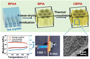Graphical abstract: A superelastic polymeric aerogel with ultrahigh fire resistance for thermal insulation in a harsh environment