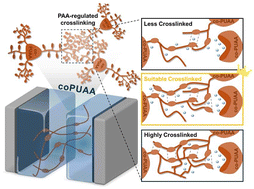 Graphical abstract: Bioinspired poly(acrylic acid)-regulated crosslinked self-healing, quasi-solid polymer electrolytes for flexible supercapacitor applications
