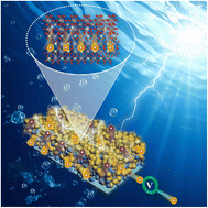 Graphical abstract: Interfacial modulation of BiVO4 photoanodes with SnO2 quantum dots and FeOOH for efficient solar-driven water oxidation