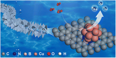 Graphical abstract: Tuning the N-intermediate adsorption of Cu catalysts for efficient electroreduction of nitrate to ammonia