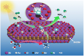 Graphical abstract: Insight into multivalent iron complex-bound oxygen vacancy-rich BiOBr nanodiscs for photocatalytic ammonia synthesis