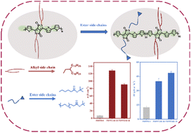 Graphical abstract: Synergistic regulation of ester side chains and thermal annealing to enhance electrical conductivity in diketopyrrolopyrrole-based conjugated polymers for thermoelectric generation