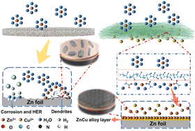 Graphical abstract: Controllable ion-release separators: in situ engineering of zincophilic/hydrophobic interfaces and solvation regulation for durable Zn metal anodes