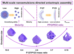 Graphical abstract: Multi-scale nanoemulsion-directed anisotropic assembly for hierarchically porous metal–organic frameworks