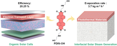 Graphical abstract: Dual-functional perylene diimide derivative for efficient organic solar cells and interfacial solar steam generation
