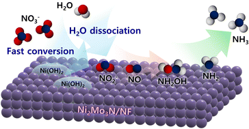 Graphical abstract: Accelerated electrochemical nitrate-to-ammonia conversion over bimetallic Ni2Mo3N with mechanistic insights
