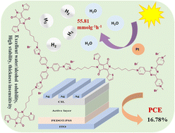 Graphical abstract: Design of multibranched diketopyrrolopyrrole polyelectrolytes as versatile materials for efficient photocatalytic hydrogen evolution and organic solar cells